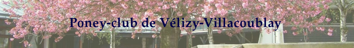 Poney-club de Vélizy-Villacoublay 